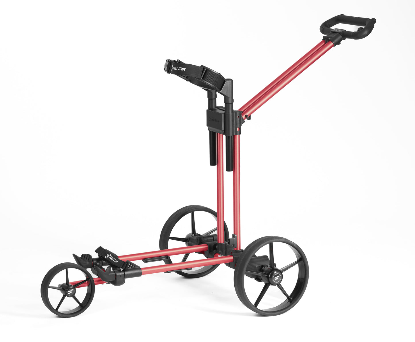 Flat Cat Ahead - Golftrolley